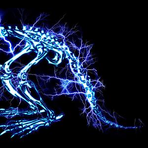 美女福利视频一区二区
