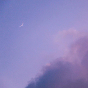 美女福利视频一区二区
